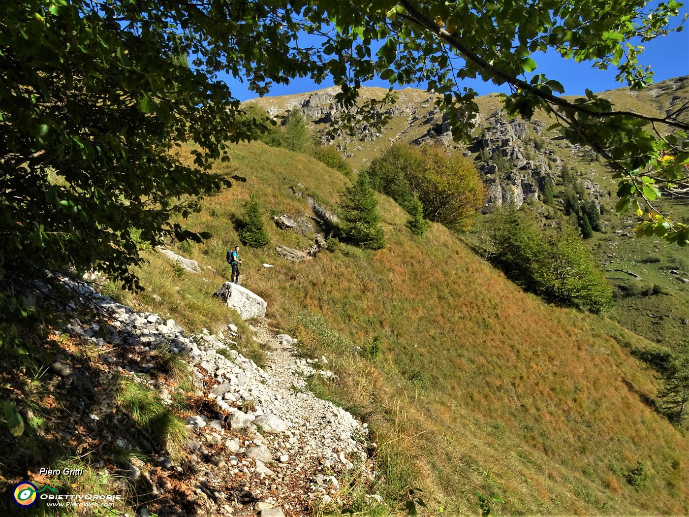 12 Usciamo dal bosco e continuiamo la salita della Val Carnera.JPG